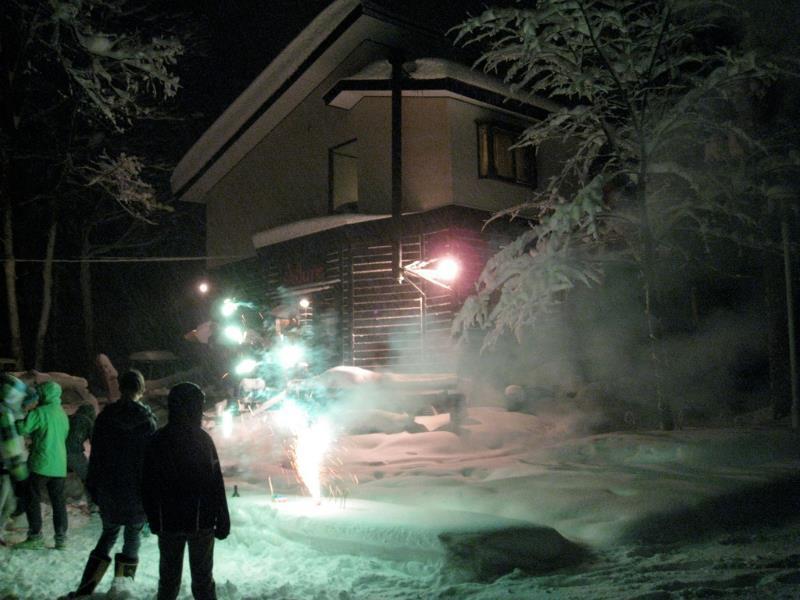 Alpine Lodge Hakuba Buitenkant foto