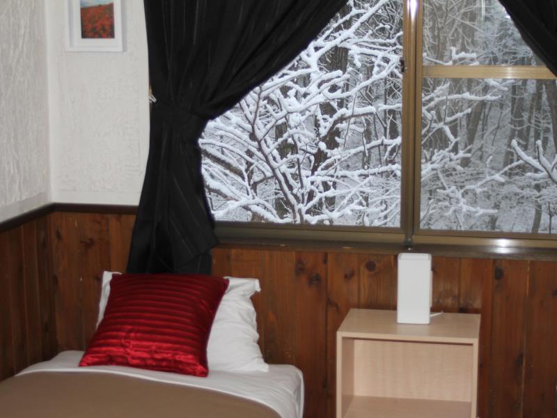 Alpine Lodge Hakuba Buitenkant foto
